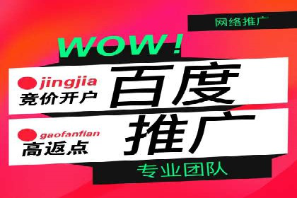 某企业SEM广告投放的转化率提升秘诀