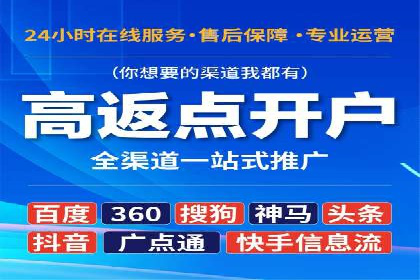 SEM广告投放策略案例分析